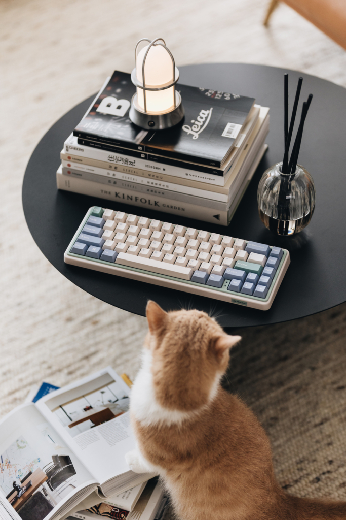 Varmilo VXT67 Minilo Eucalyptus / Cherry MX Silent Red 30